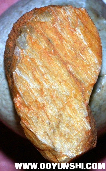 16774_4023_1050.jpg