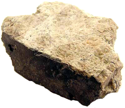 5045_8100_2629.jpg