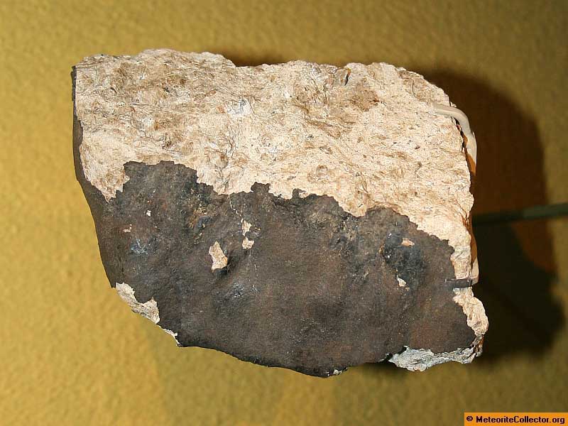 5045_13781_2745.jpg