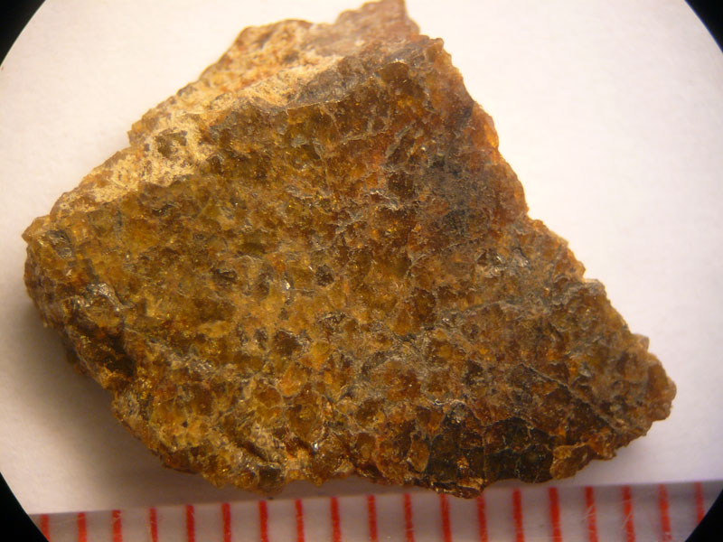7456_9657_2585.jpg