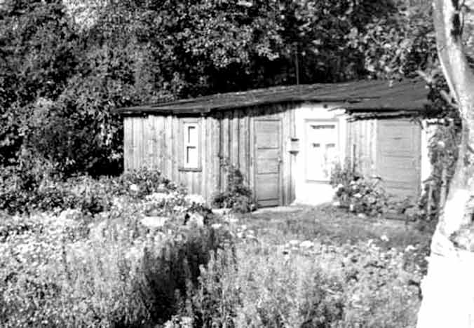 PillistferCottage_walter_branch.jpg