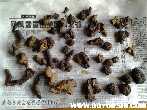 溅射物有的长有的园