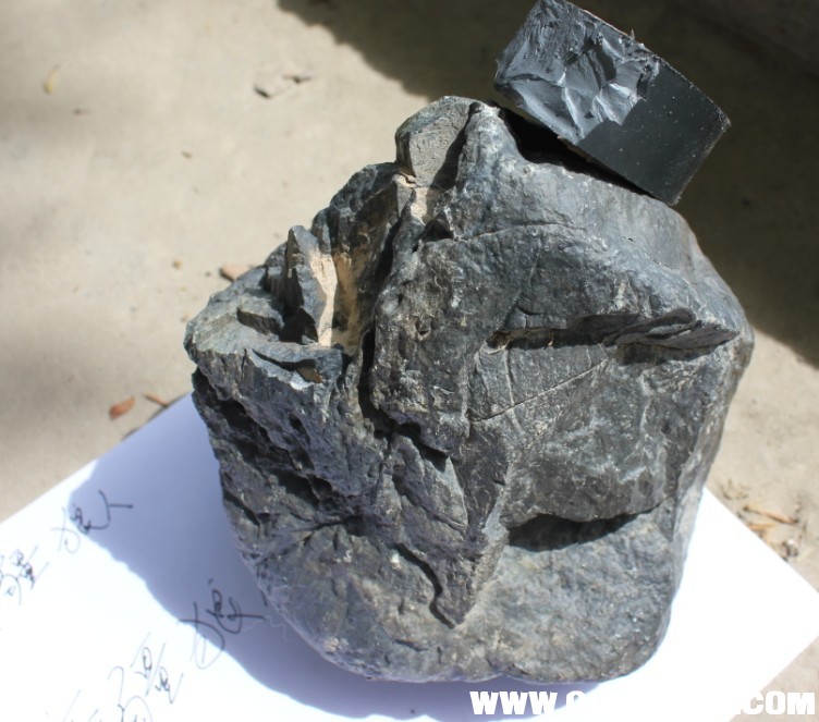 QQ图片20130613195106.jpg