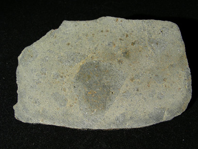 nwa047_carion.jpg