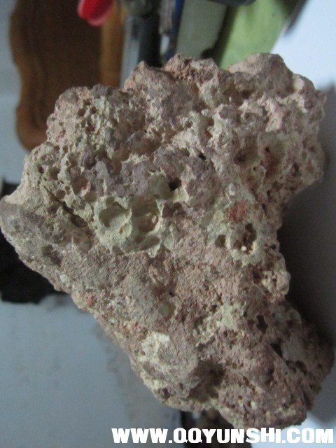 照片888yun 408.jpg