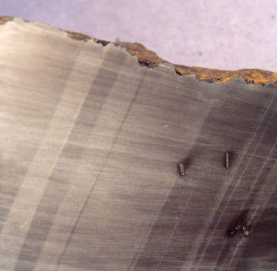 5261_17464_2853.jpg