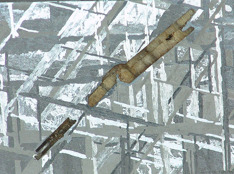 10852_16656_2587.jpg