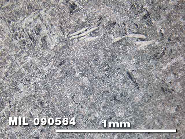 MIL090564c2_5x_rl_2.jpg