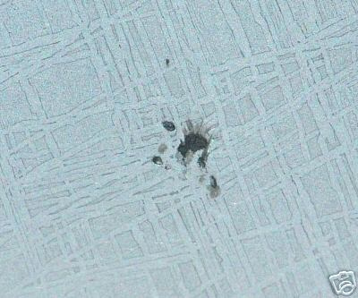 48916_17470_2853.jpg