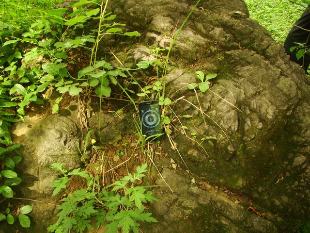 DSC03891.JPG