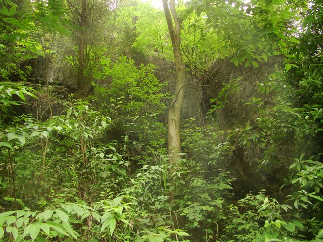 DSC03900.JPG