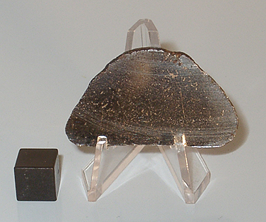 nwa1817_nakhladog.jpg