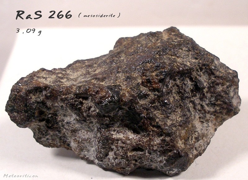48634_12379_223.jpg