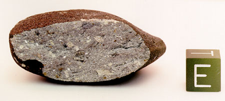 grO95602.jpg