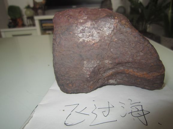 照片 1377.jpg