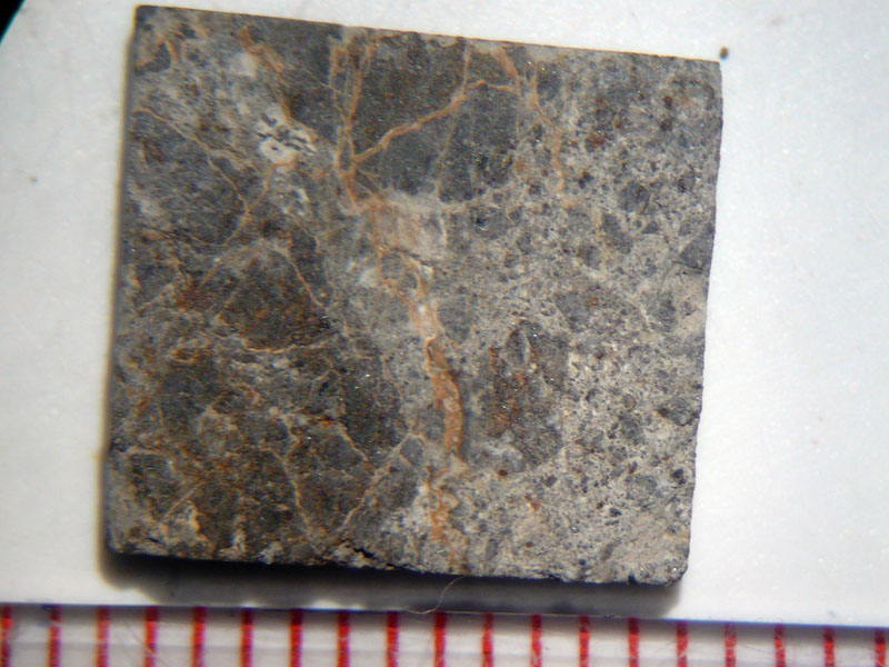 32477_27475_2585.jpg