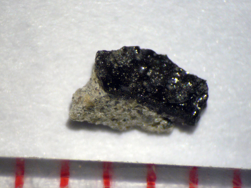 30378_16750_2585.jpg