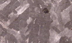 5509_4279_1224.jpg