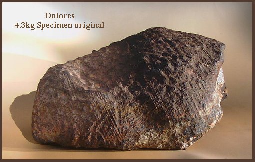 dolores.jpg