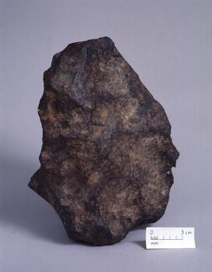15406_5910.jpg