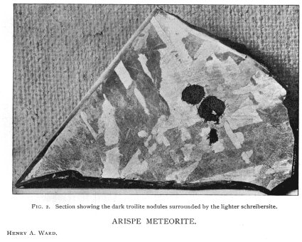 arispe4.jpg