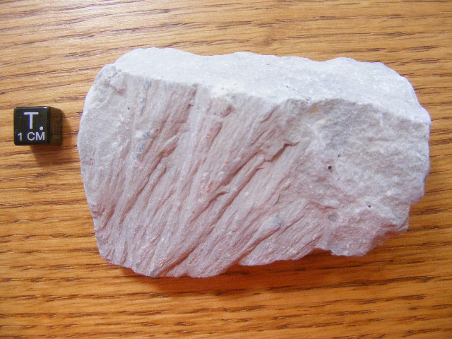 35240_21139_2830.jpg