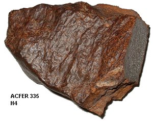 acfer335_meteoriteshow2.jpg