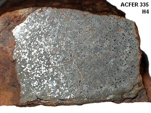 acfer335_meteoriteshow3.jpg