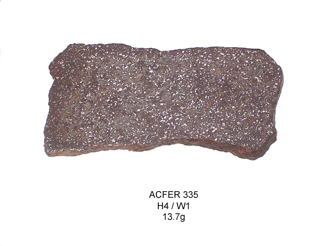 acfer335_meteoriteshow.gif