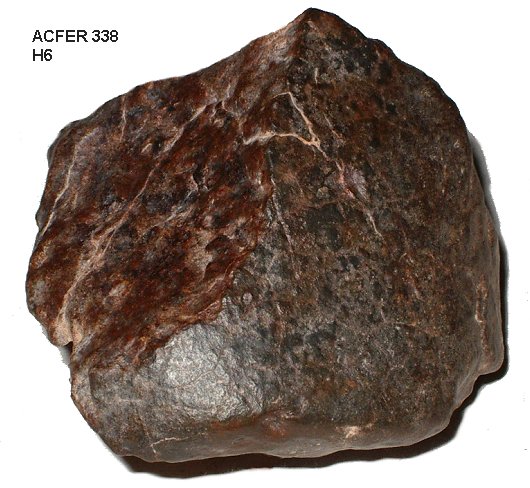 acfer338_meteoriteshow2.jpg