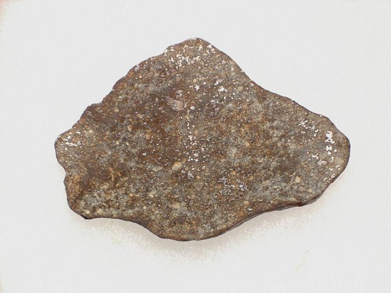 acfer343_meteoriteshow.jpg