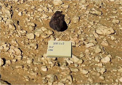 acfer358_meteoriteshow2.jpg