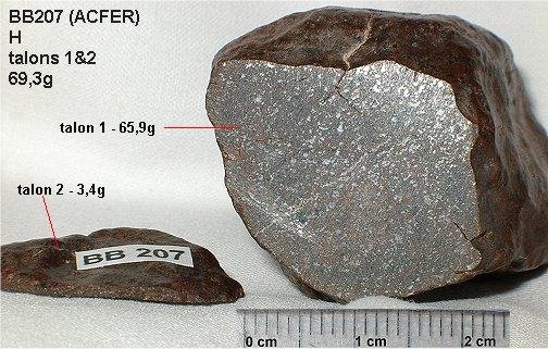 acfer358_meteoriteshow.jpg