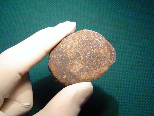 acfer362_ajl_meteorites2.jpg