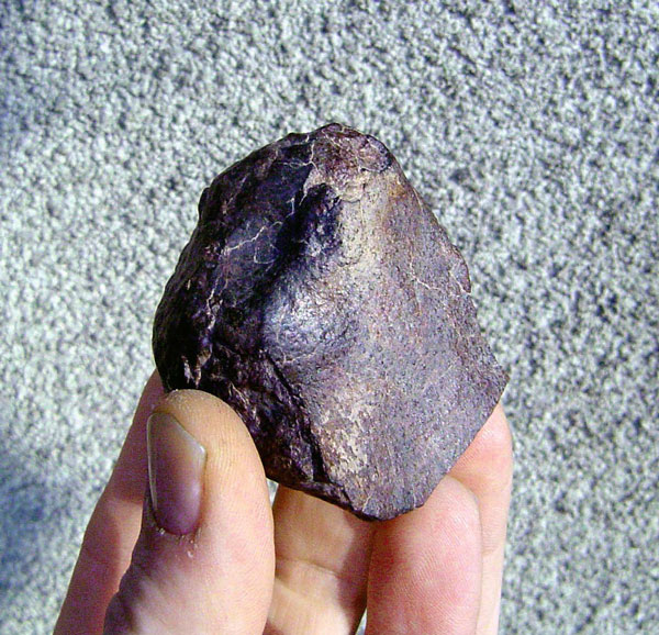 acfer362_ajl_meteorites.jpg