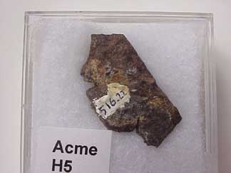 acme2a.jpg