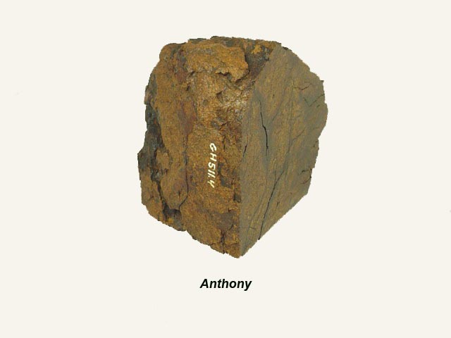 anthony_kansasmeteoritessociety.jpg