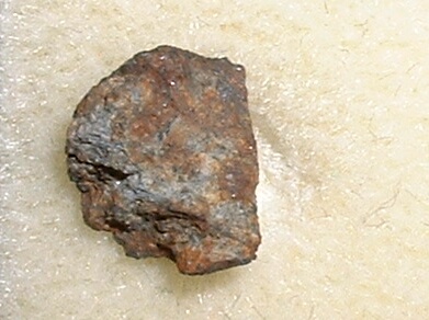BurGheluai_don_edwards.jpg