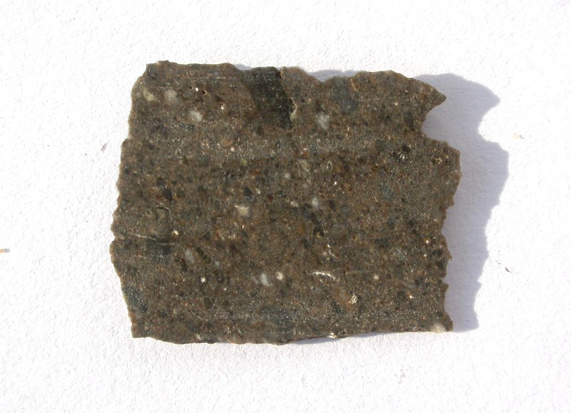 dho025_classen.jpg