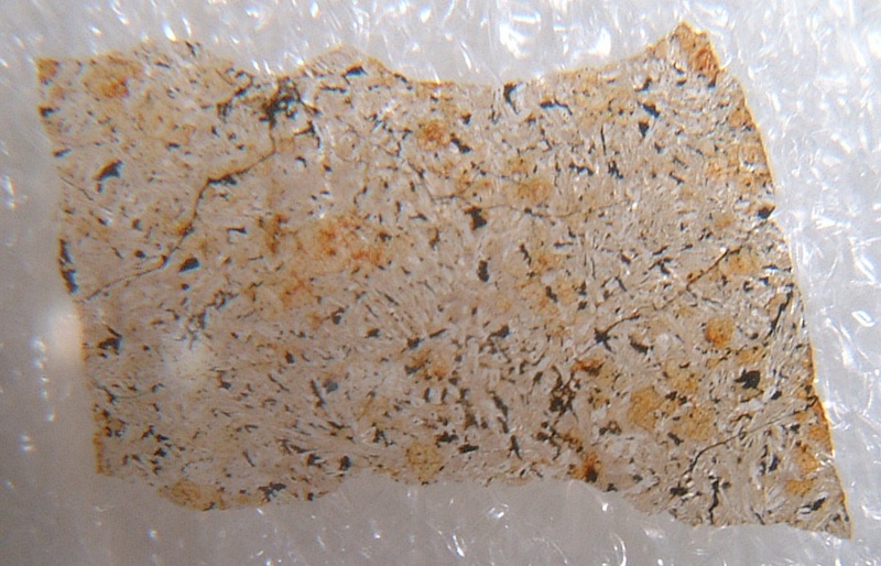 7070_21674_2904.jpg