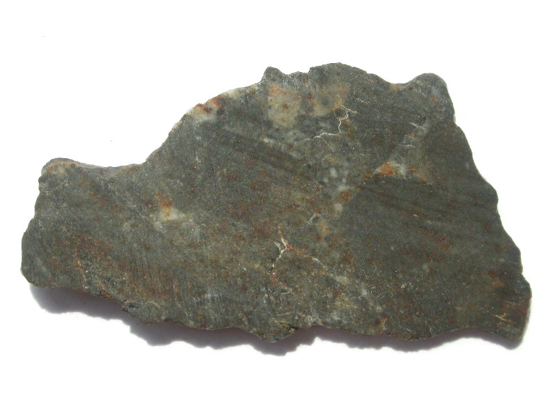 dho961_classen.jpg