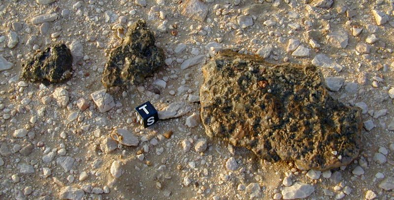 dho1085_haberer_and_siegfried_beutel.jpg