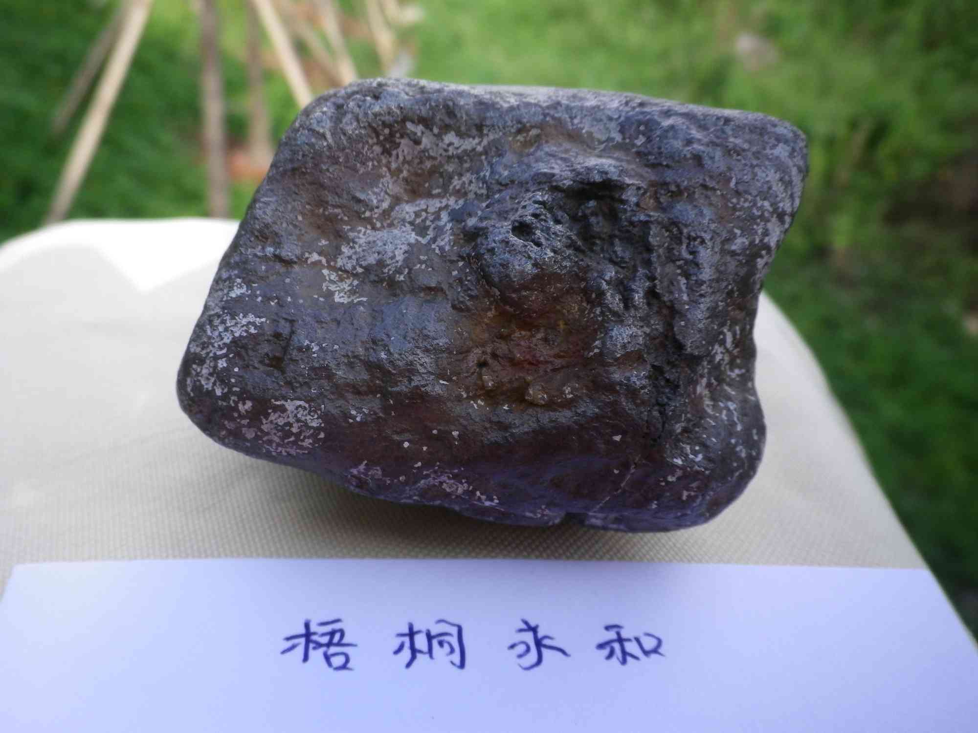 IMGP0004.jpg
