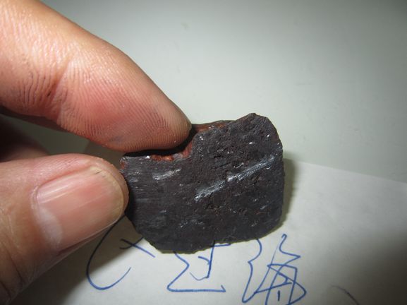 照片 1410.jpg