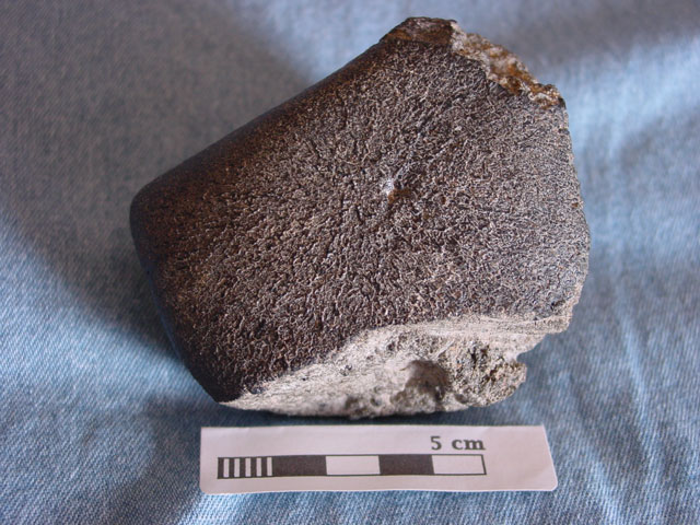 nwa3171_david_gregory.jpg