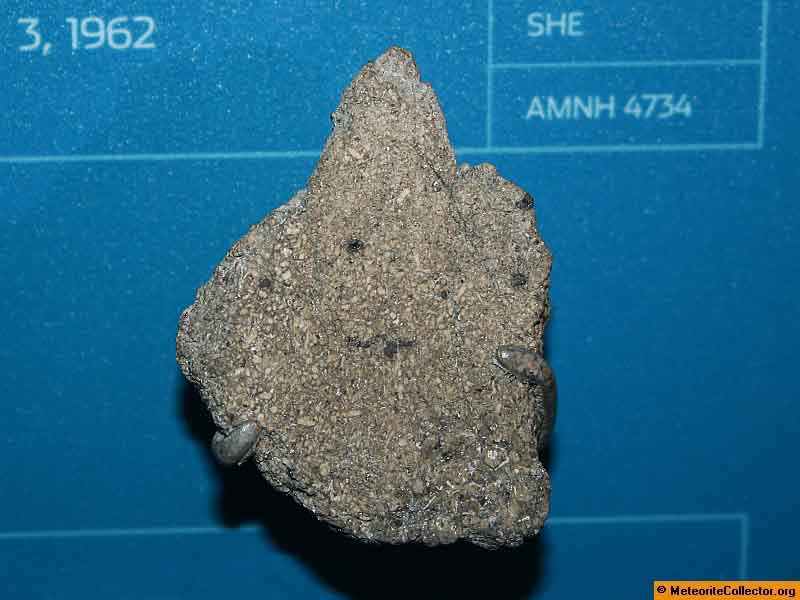 30386_14436_2686.jpg