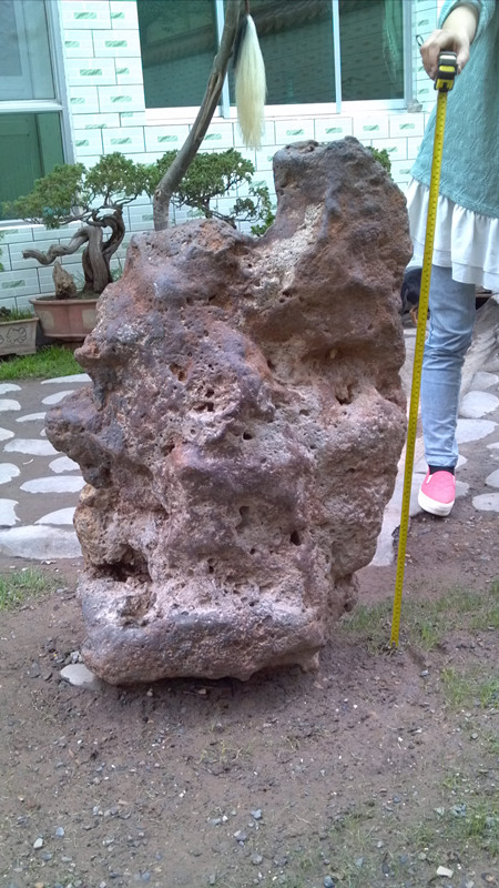 IMG_20130621_145858_副本.jpg