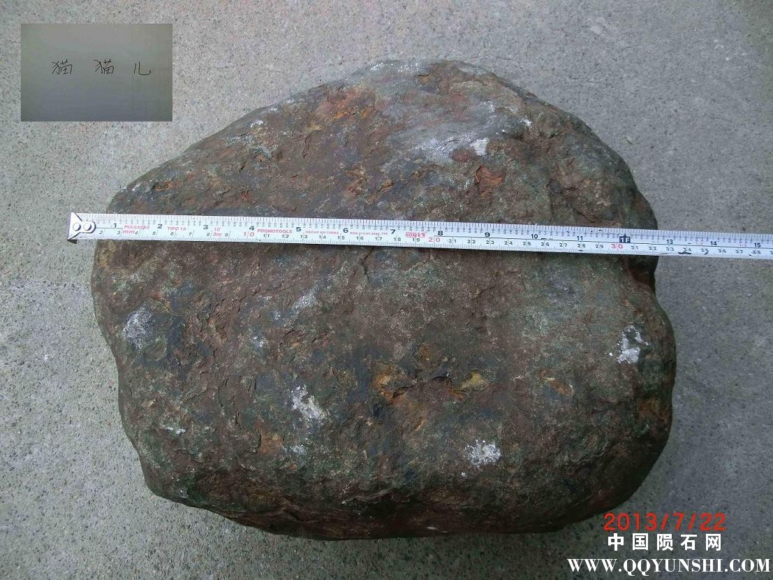 zz21.JPG
