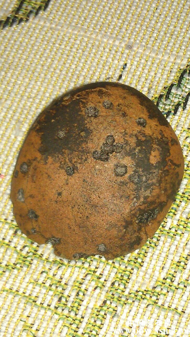 背面