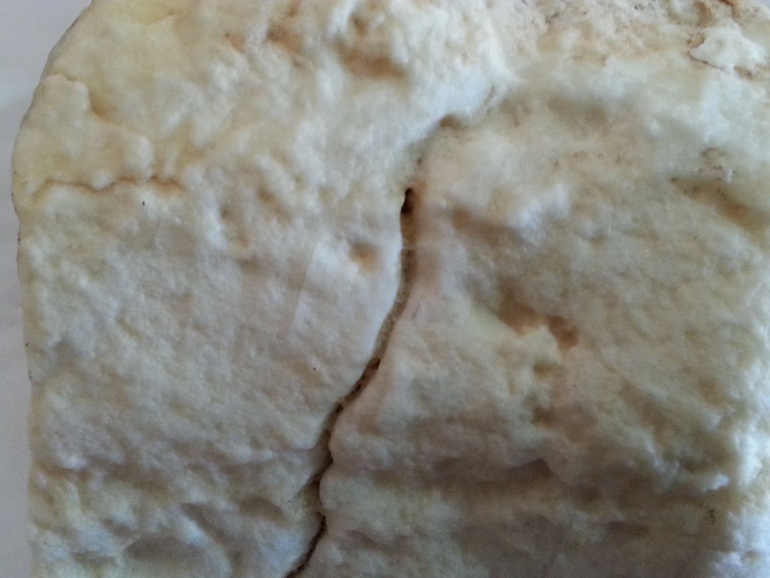 20130728_135121.jpg